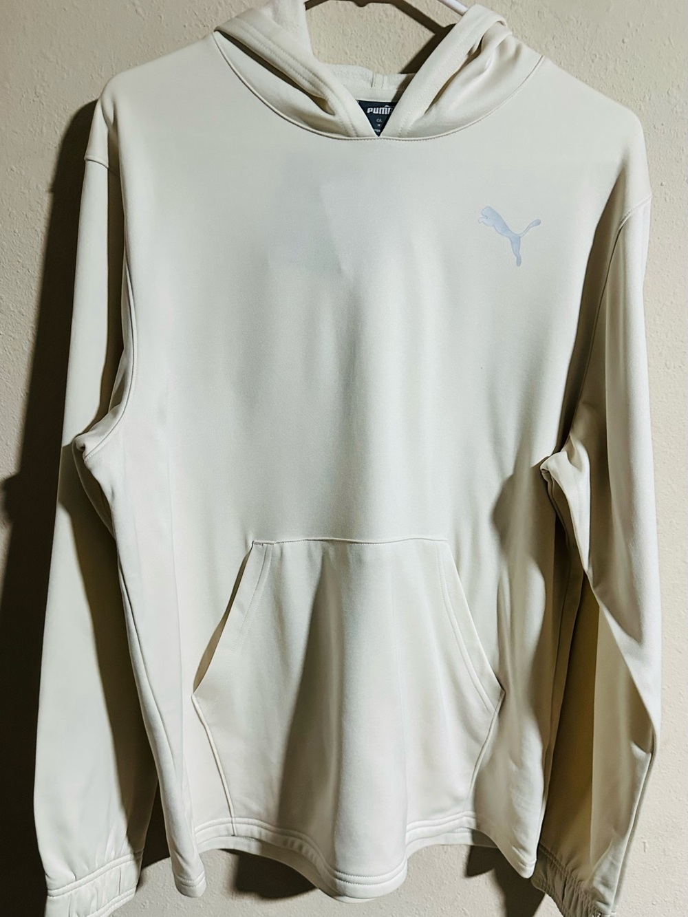 Puma Men's ‘Train Hoodie’ Alpine Snow Performance Pullover Hoodie-NWT